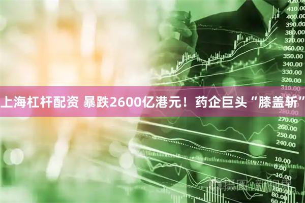 上海杠杆配资 暴跌2600亿港元！药企巨头“膝盖斩”